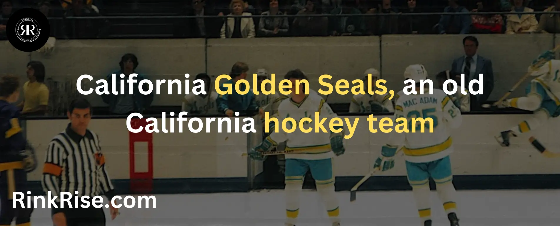 California Golden Seals, an old California hockey team