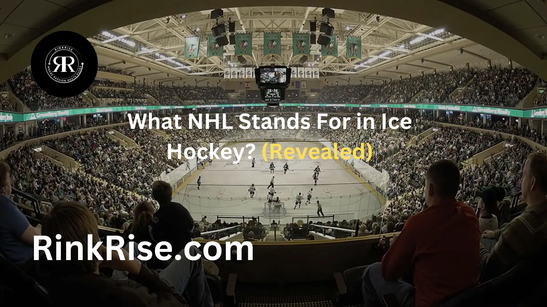 What NHL Stands For in Ice Hockey? (Revealed)